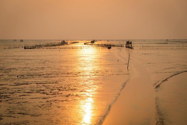 Où participer à des ateliers de cuisine traditionnelle en Géorgie : chefs et recettes recommandées ?
