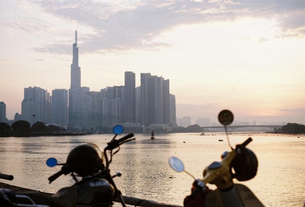 Quels sont les meilleurs spots pour observer les lions en Afrique du Sud?