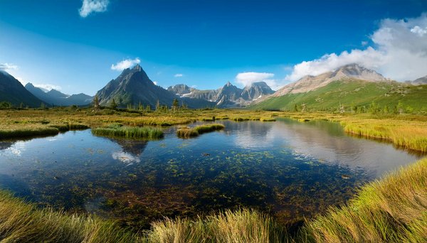 Comment organiser une visite des temples anciens à Angkor Wat, Cambodge?