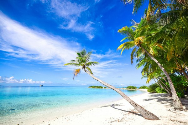 Comment choisir une croisière qui propose des visites des marchés flottants en Thaïlande?